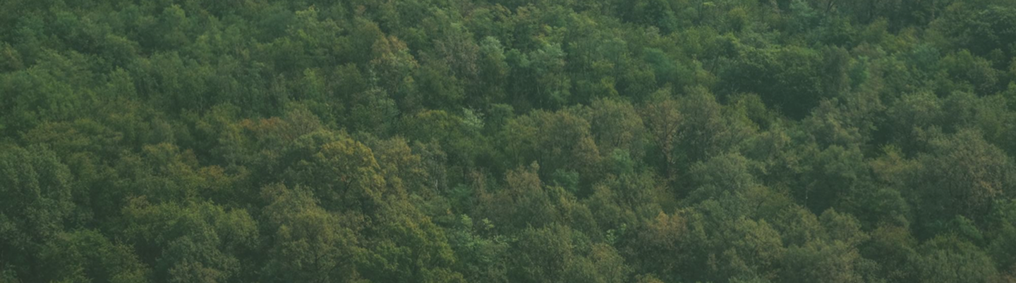 Our Sustainability Philosophy